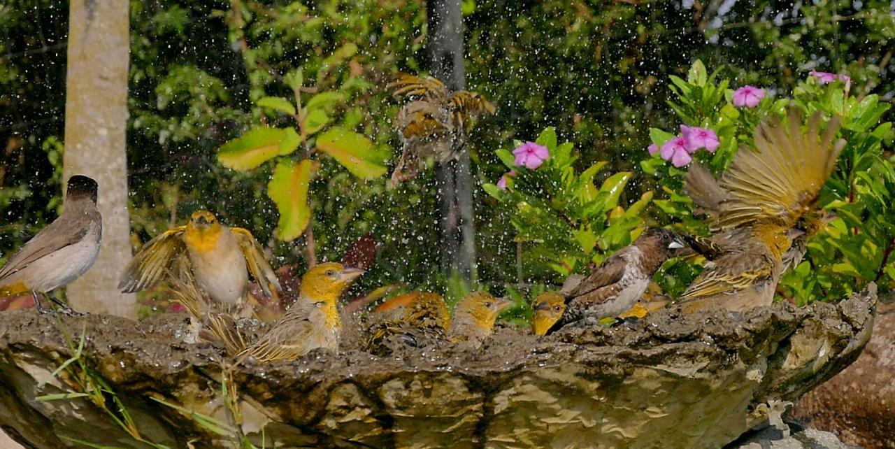 Kingfishers Khaya ซอดวานาเบย์ ภายนอก รูปภาพ